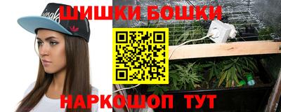 Альфа ПВП Бийск