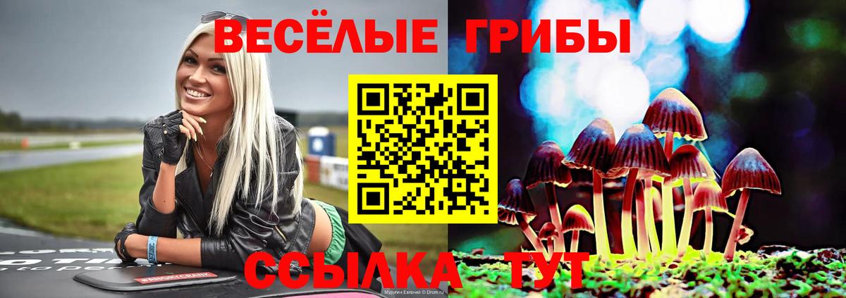 купить наркотик  Псилоцибиновые грибы MAGIC MUSHROOMS  Вход с VPN  Псилоцибиновые грибы мухоморы  Каспийск 